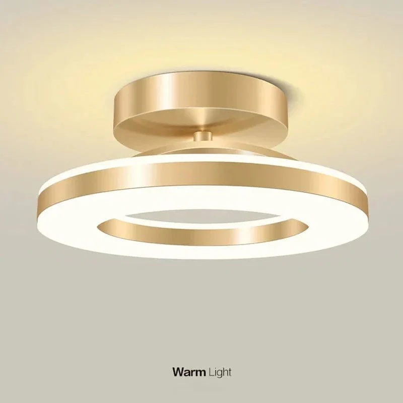 Skorter | LED Ceiling Light Fixture