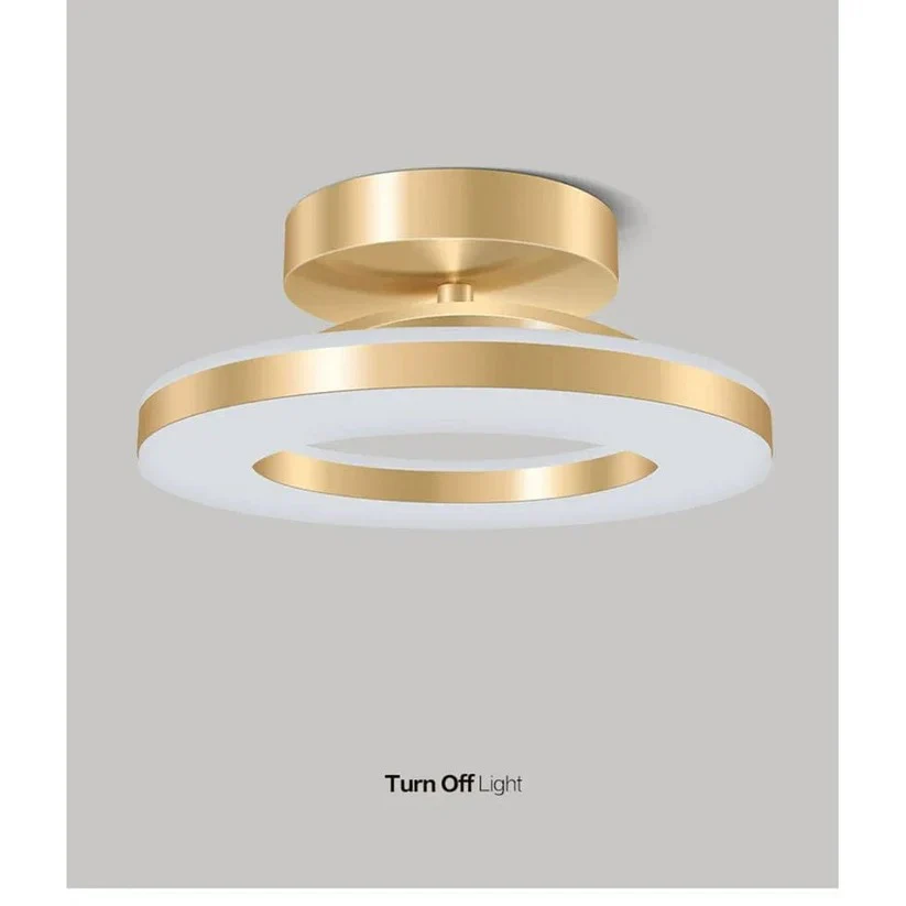 Skorter | LED Ceiling Light Fixture