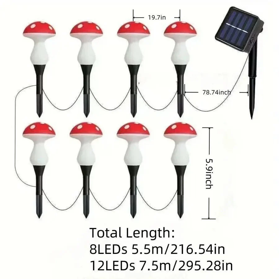 Skorter | LED Solar Lights Outdoor Decorative