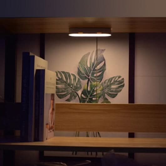Skorter | Rechargeable LED Motion Sensor Wall Light