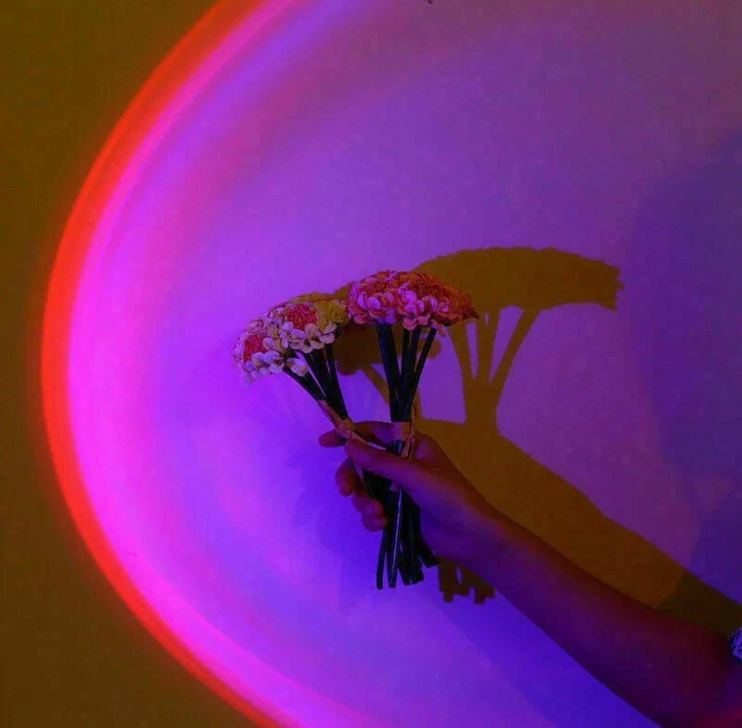 Skorter | Fifteen Colors Sunset Projector Table Lamp