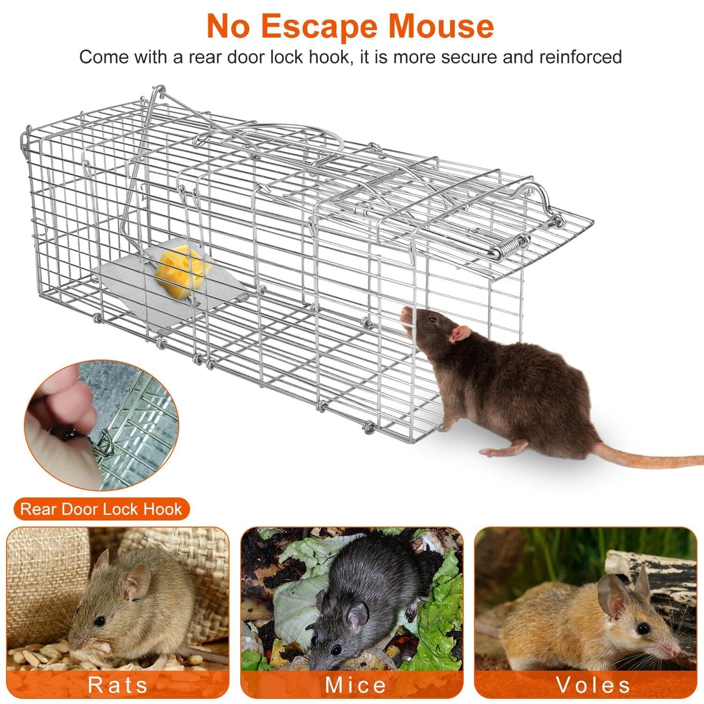 Skorter | Collapsible Rat Trap Cage Human Live Rodent Trap Cage