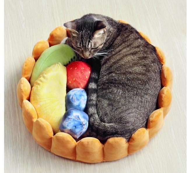 Skorter | Fruit tart Cat bed