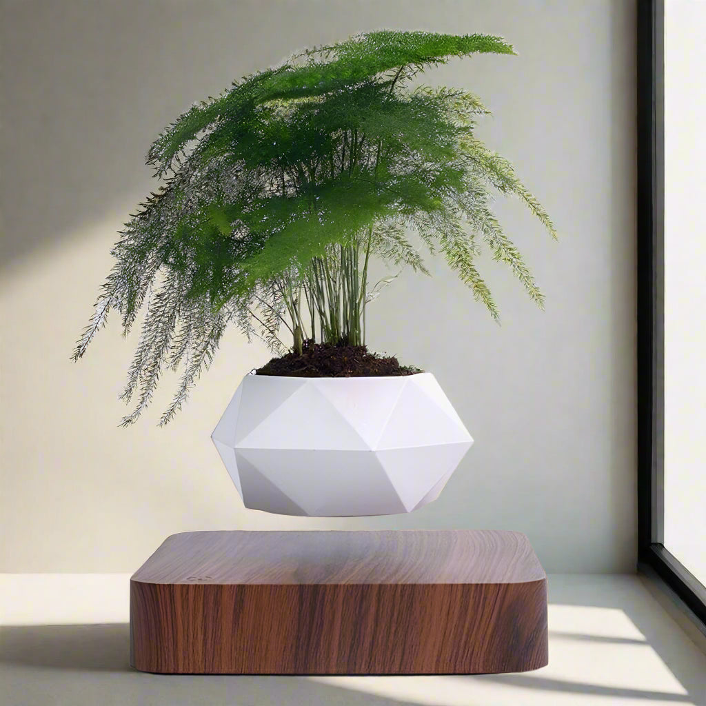 Skorter | Magnetic Levitating Flower Pot with LED Light - Floating Planter for Home Decor & Unique Gifts