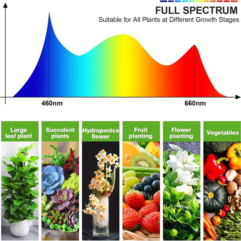Skorter | Growth Light for Seed Starting Automatic ON & OFF Full Spectrum LED Plant Light with Timer