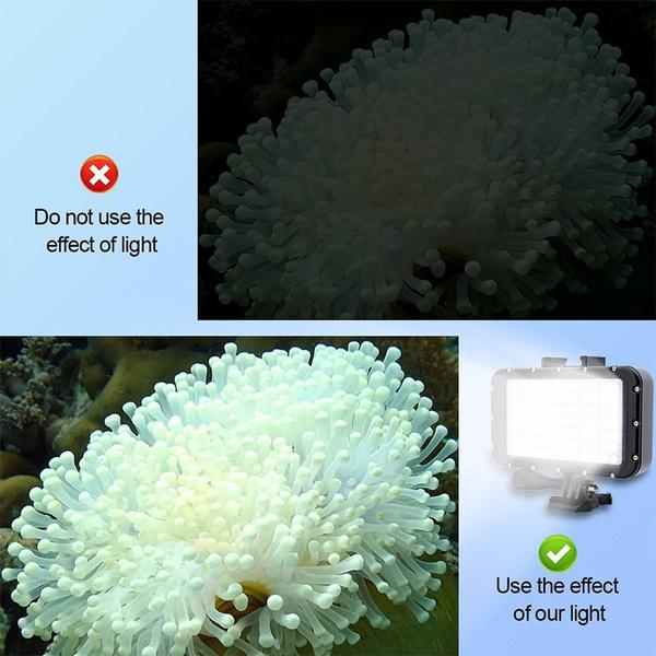 Skorter | High power dimmable waterproof LED video light source