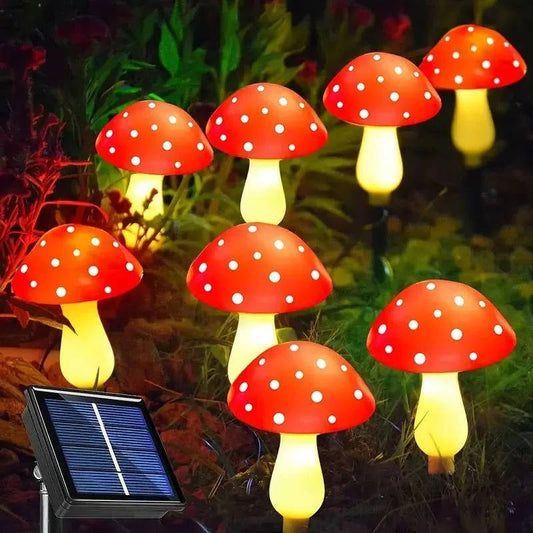 Skorter | LED Solar Lights Outdoor Decorative