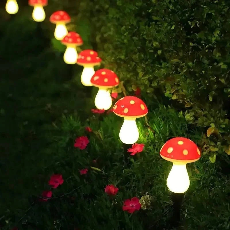 Skorter | LED Solar Lights Outdoor Decorative