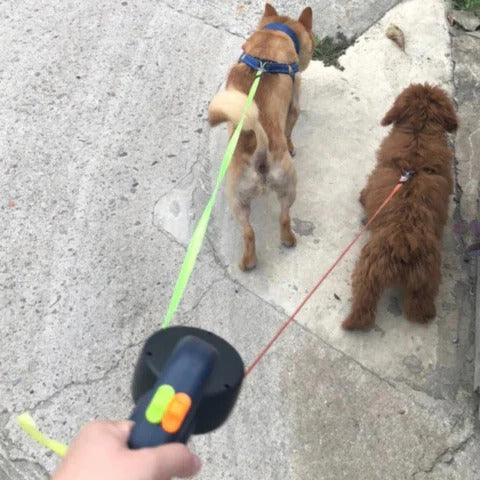 Skorter | TangleFree Dual Dog Leash with LED Light & 360° Swivel