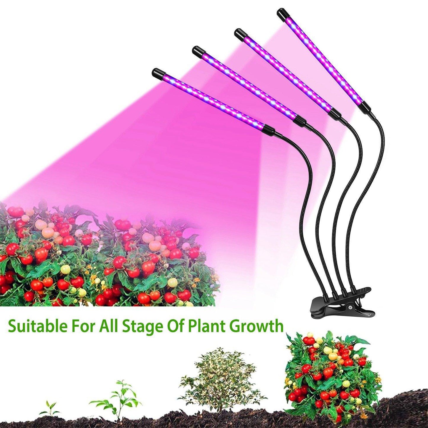 Skorter | iMounTEK 80W 80 LEDs Plant Light