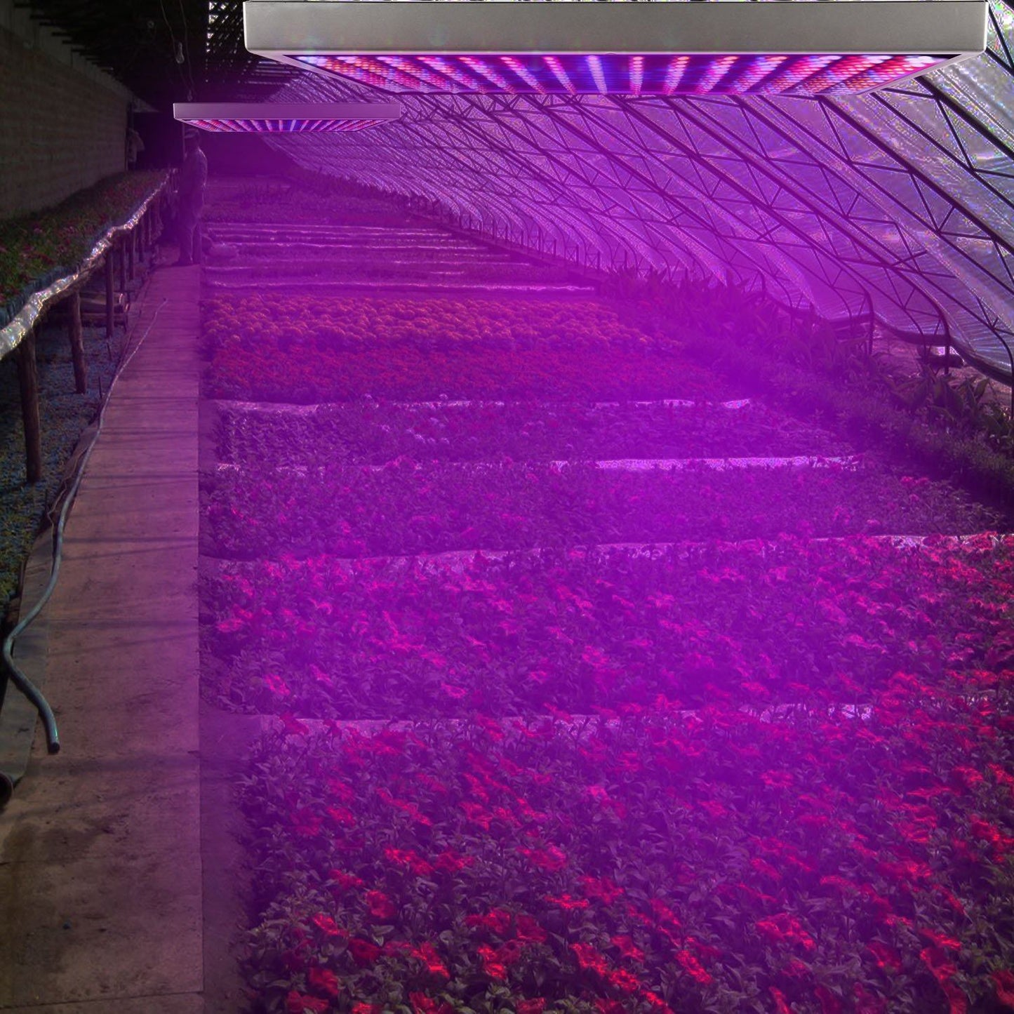 Skorter | LED Grow Light Full Spectrum Hanging