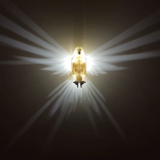 Skorter | Luminous Wings Wall Lamp - LumaWings