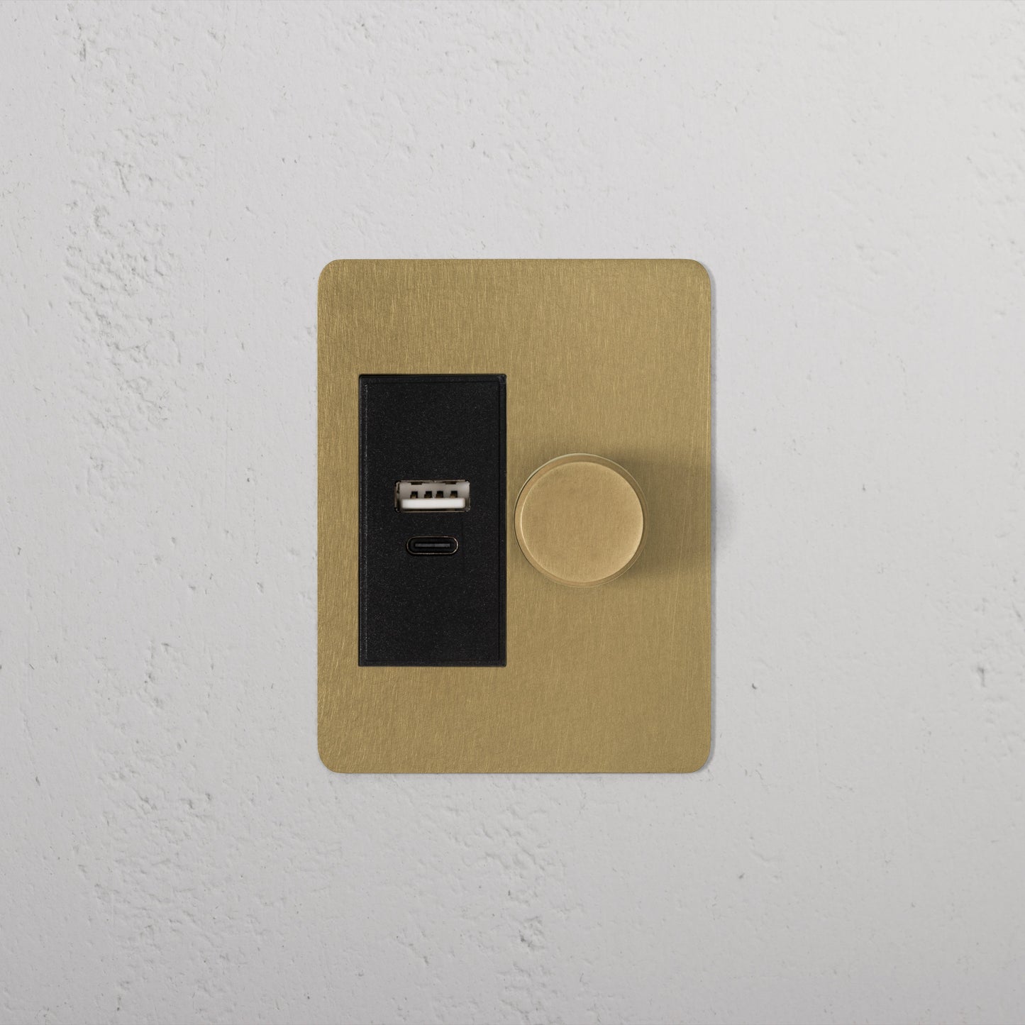 Skorter | 1G Two Way Dimmer + USB A+C Slimline Switch - Antique Brass Black