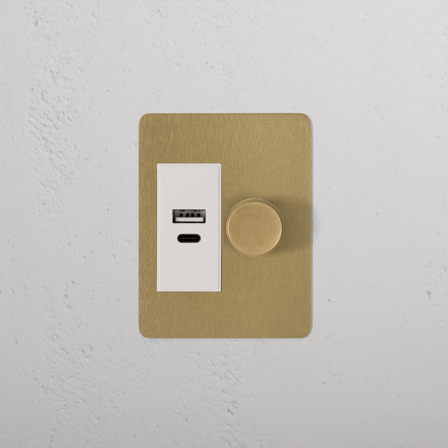 Skorter | 1G Two Way Dimmer + USB A+C Slimline Switch - Antique Brass White