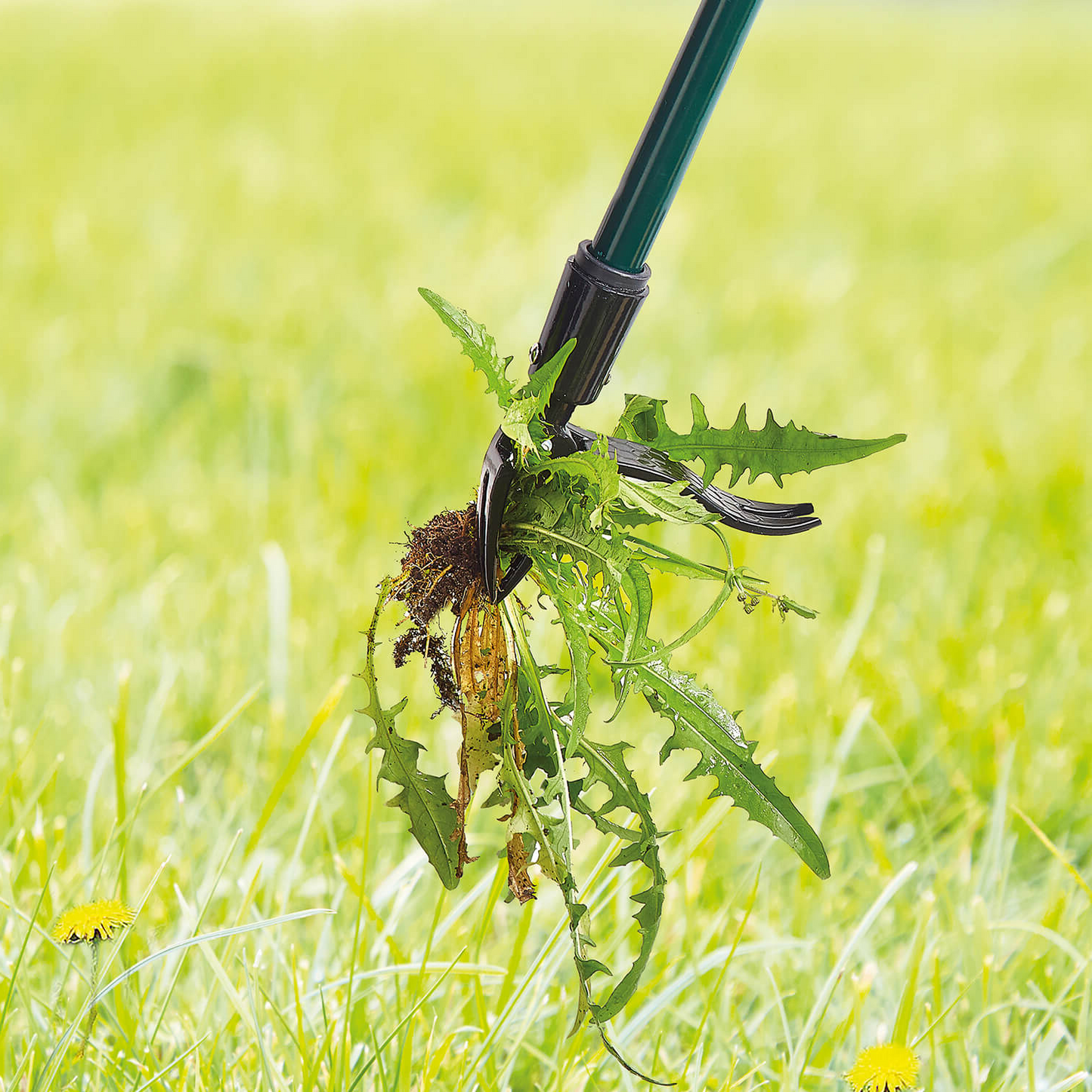 Skorter | Long Handled Weed Puller Remover Weeding Tools