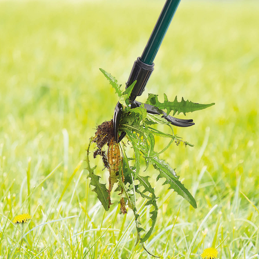 Skorter | Long Handled Weed Puller Remover Weeding Tools