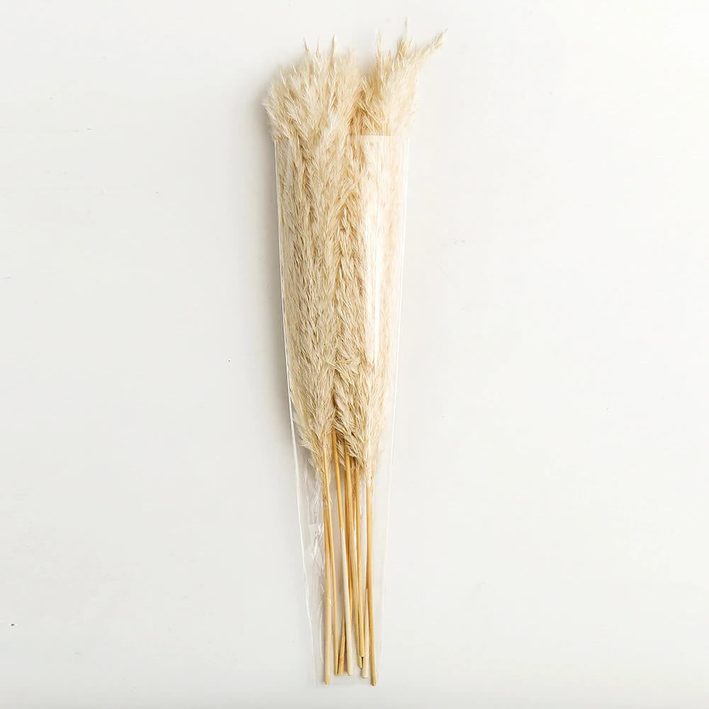 Skorter | Naturally Dried Pampas Bouquet