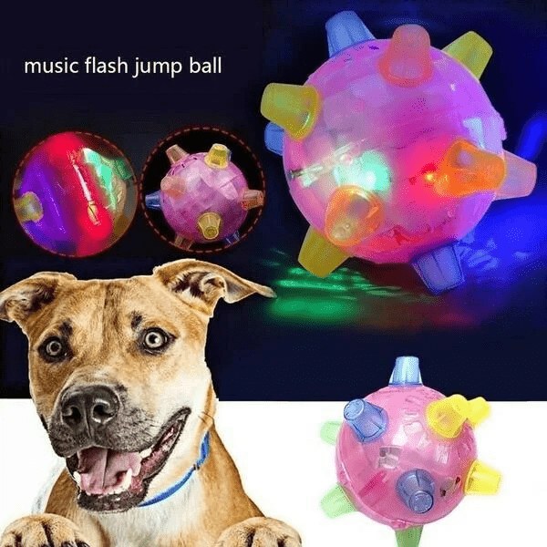 Skorter | PAWBOUNCE – Interactive LED Bouncing Ball for Dogs
