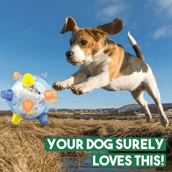 Skorter | PAWBOUNCE – Interactive LED Bouncing Ball for Dogs