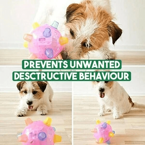 Skorter | PAWBOUNCE – Interactive LED Bouncing Ball for Dogs