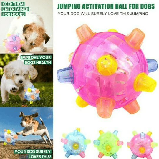 Skorter | PAWBOUNCE – Interactive LED Bouncing Ball for Dogs