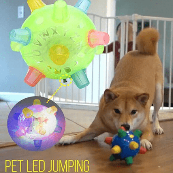 Skorter | PAWBOUNCE – Interactive LED Bouncing Ball for Dogs