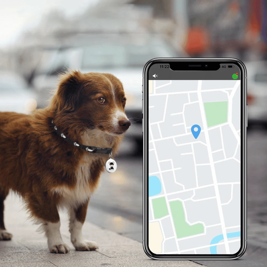 Skorter | Pet GPS Tracker - Dogs And Cats - Android And iOS