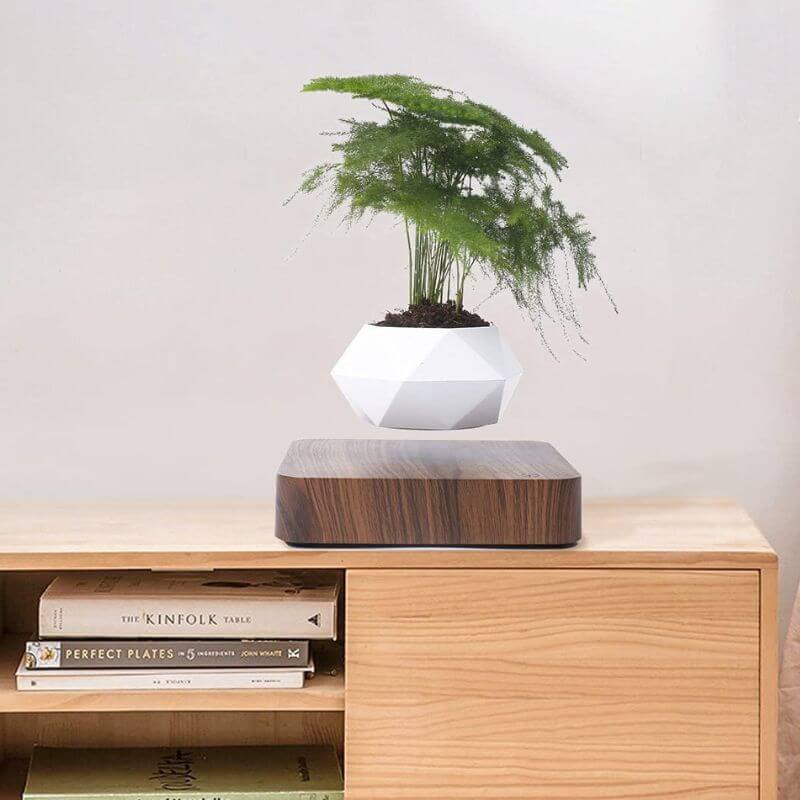 Skorter | Magnetic Levitating Flower Pot with LED Light - Floating Planter for Home Decor & Unique Gifts