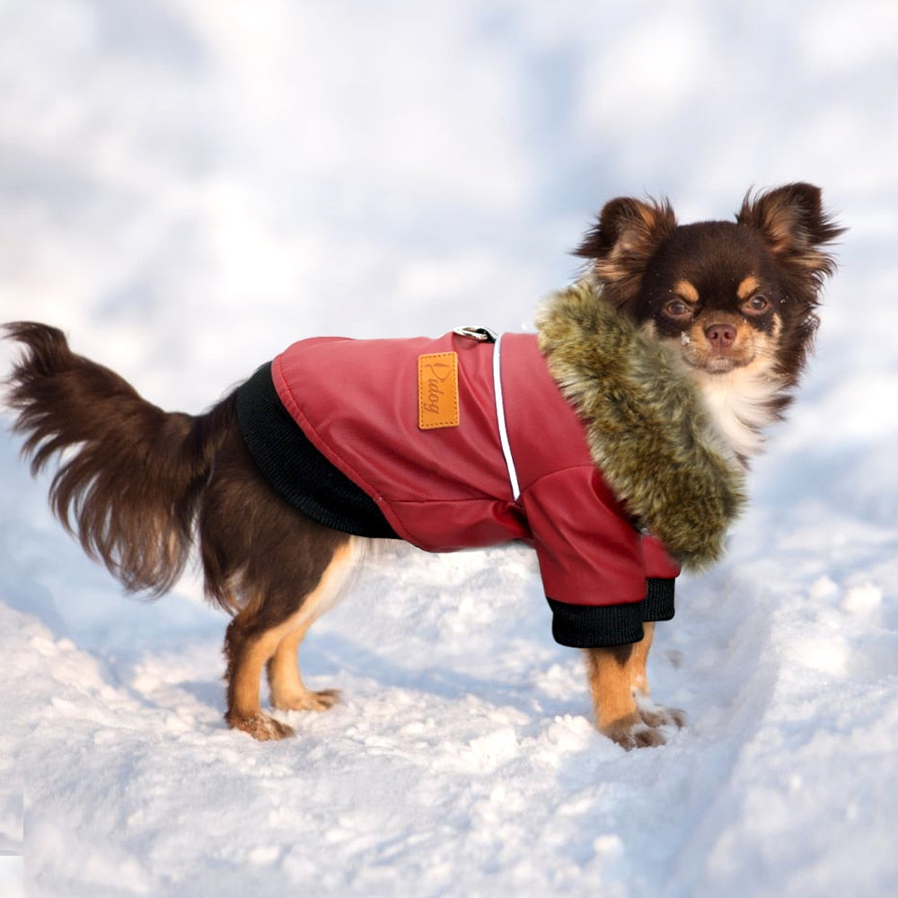 Skorter | Vegan Leather Jacket for Dog with Faux Fur Collar