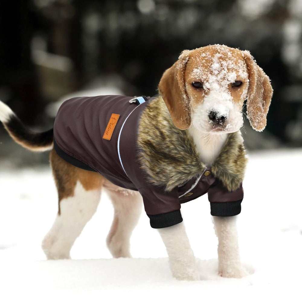 Skorter | Vegan Leather Jacket for Dog with Faux Fur Collar
