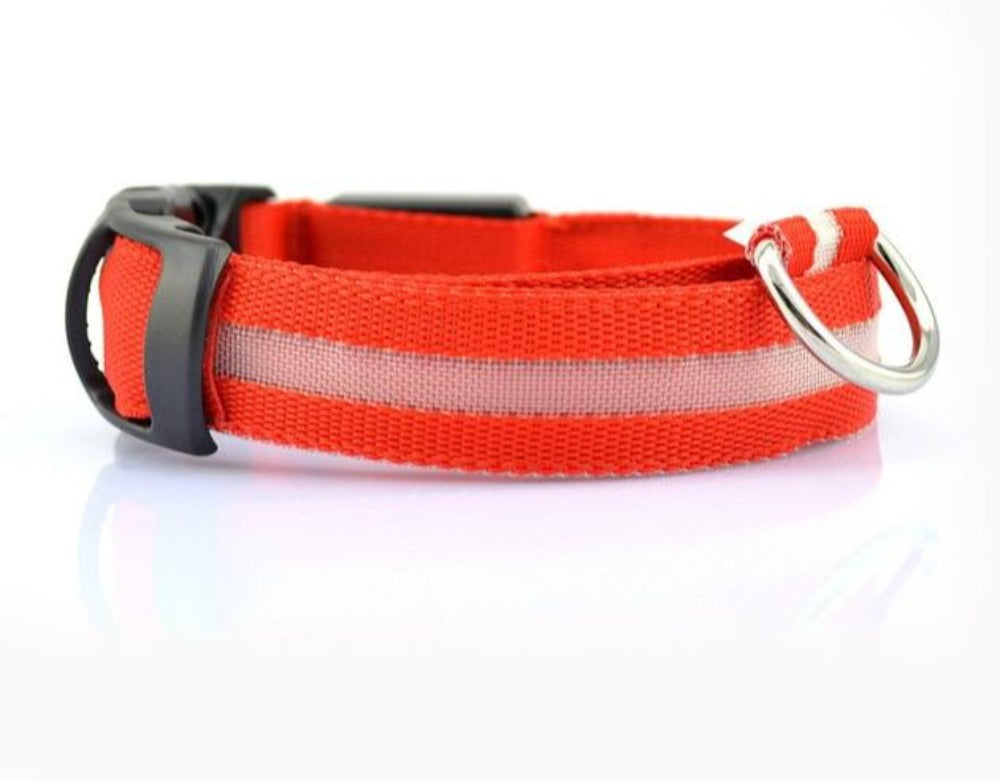 Skorter | PCS Set Nylon LED Dog Collar