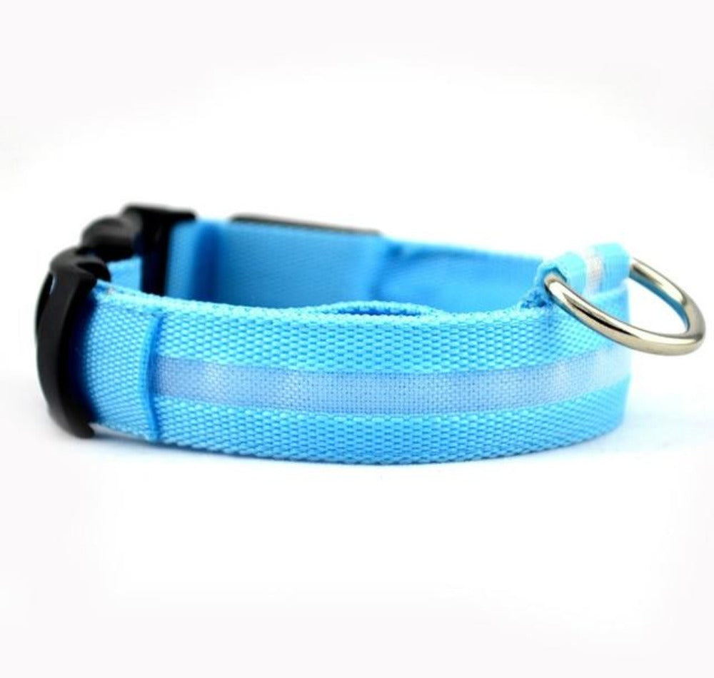 Skorter | PCS Set Nylon LED Dog Collar