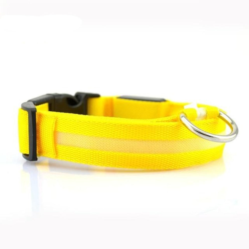 Skorter | PCS Set Nylon LED Dog Collar