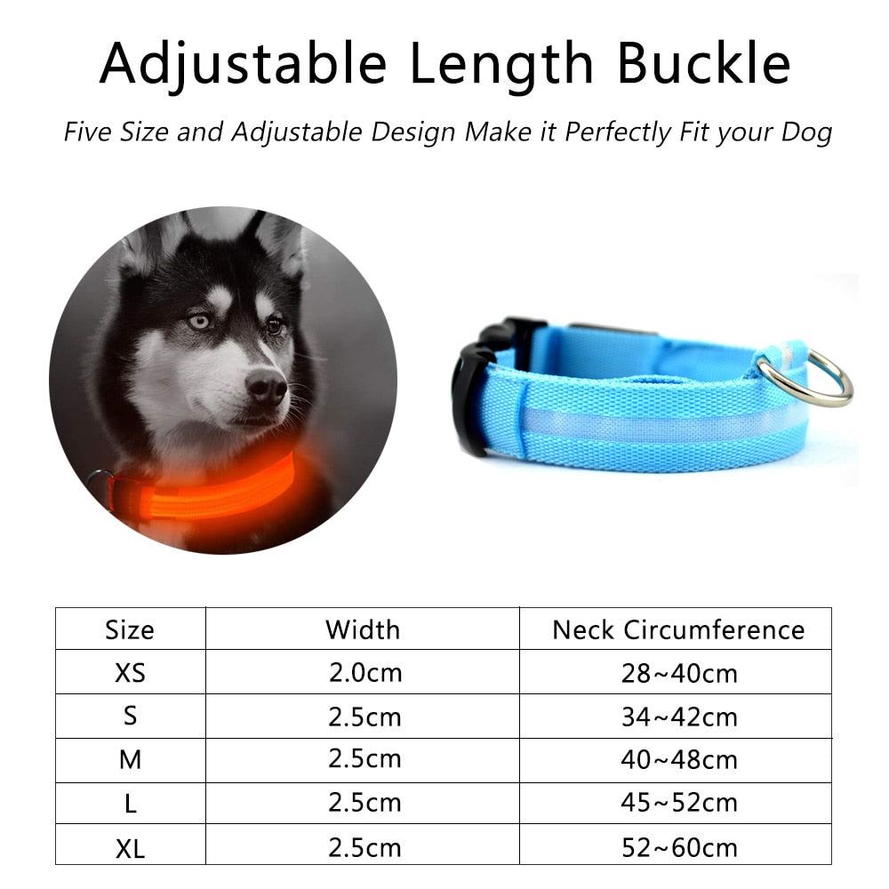Skorter | PCS Set Nylon LED Dog Collar
