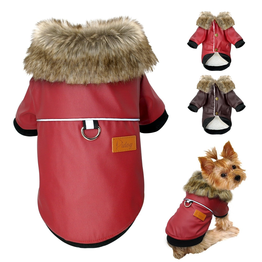Skorter | Vegan Leather Jacket for Dog with Faux Fur Collar