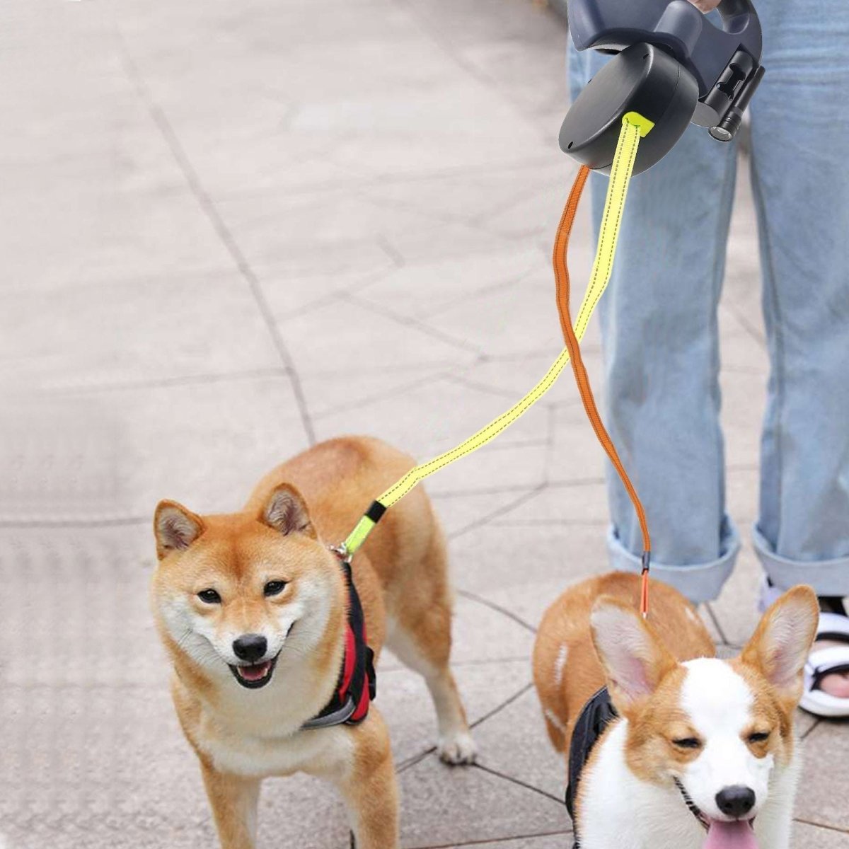 Skorter | PROPET DUO – Dual Retractable Dog Leash with LED Flashlight