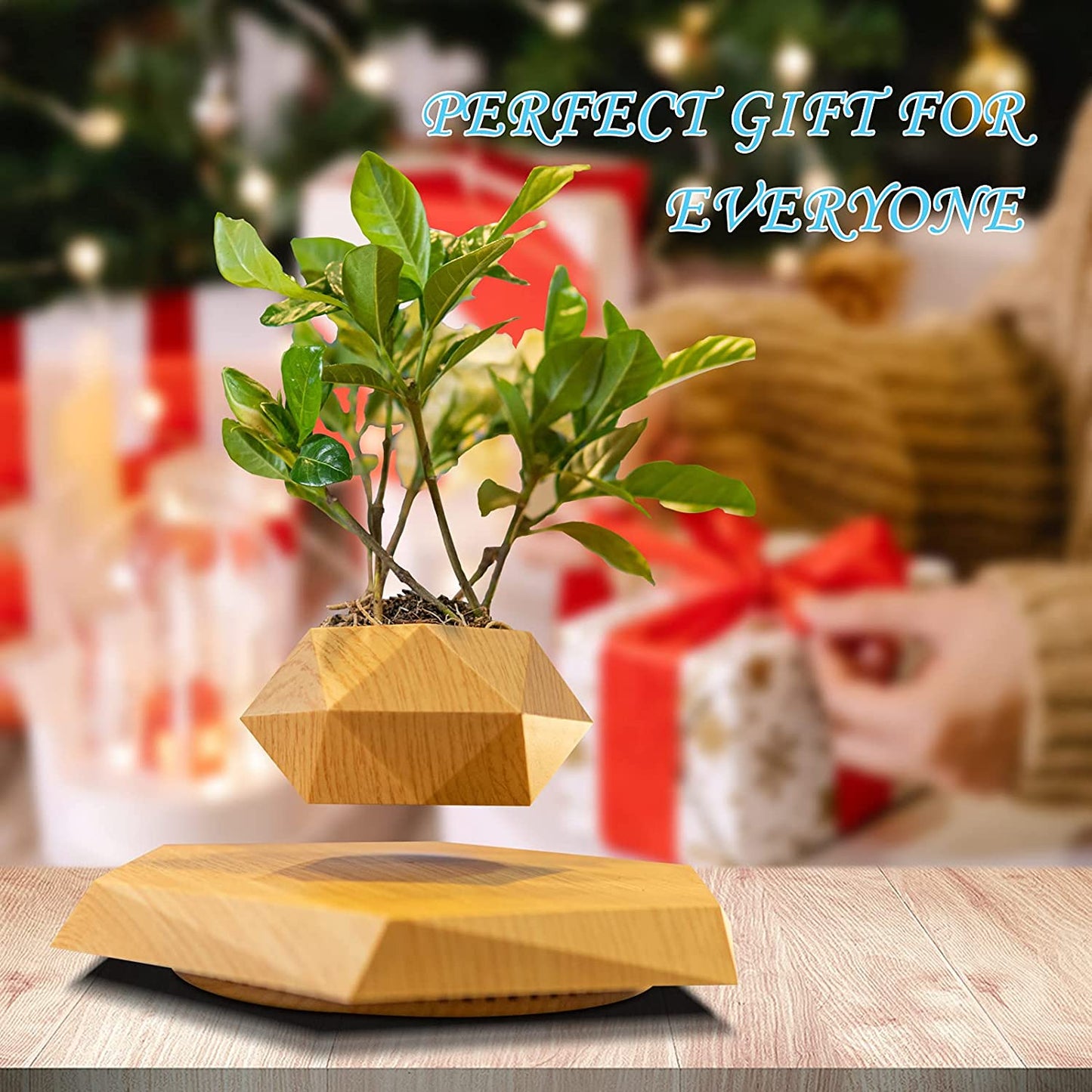 Rotating Magnetic Levitation Flower Pot - SKØRTER