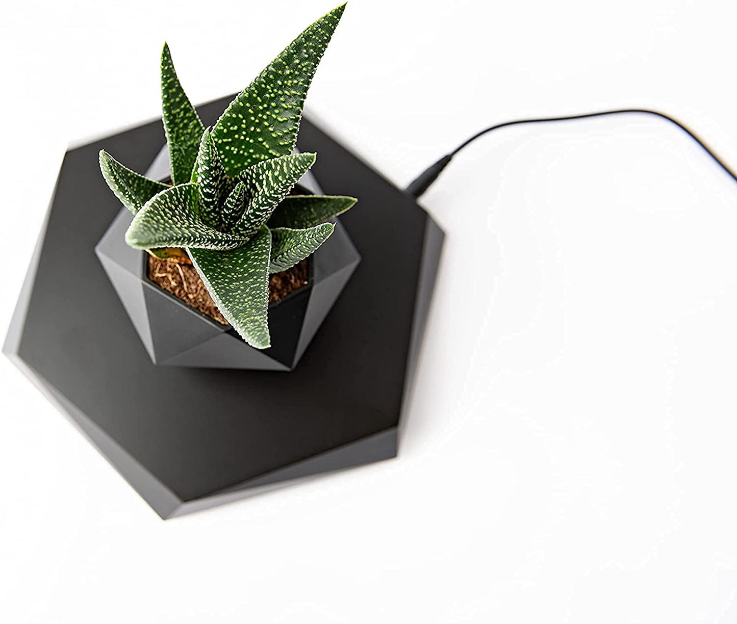 Rotating Magnetic Levitation Flower Pot - SKØRTER