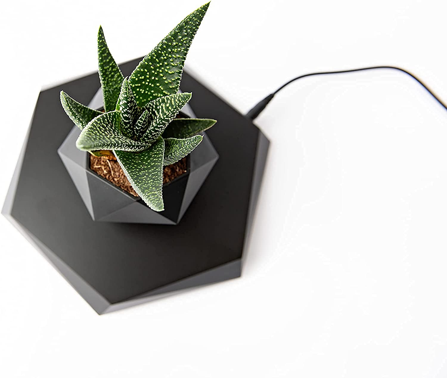 Rotating Magnetic Levitation Flower Pot - SKØRTER