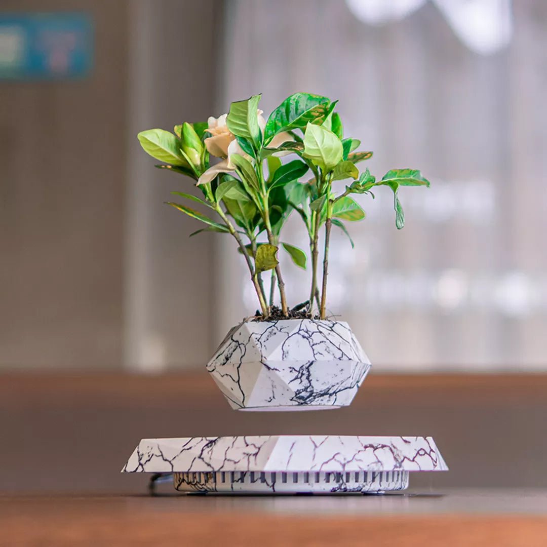 Rotating Magnetic Levitation Flower Pot - SKØRTER
