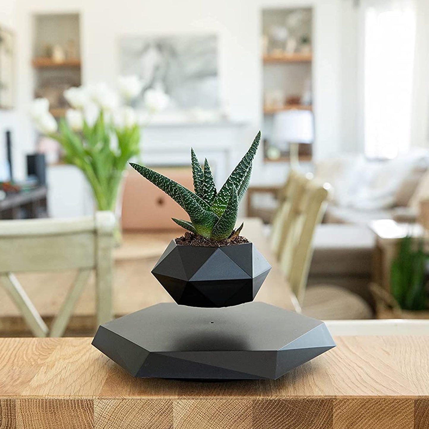Rotating Magnetic Levitation Flower Pot - SKØRTER