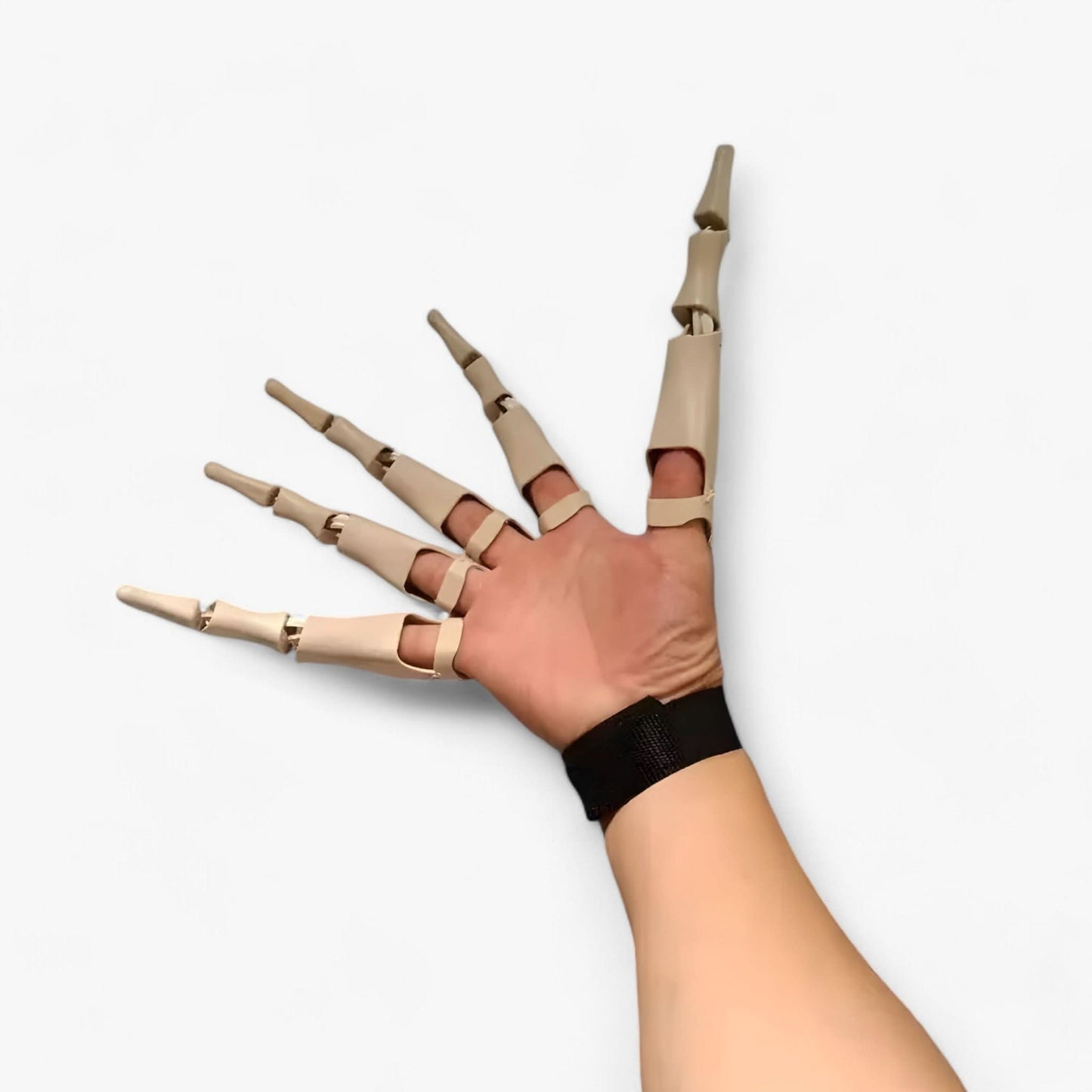 Skorter | Claw | Curled Skeletal Fingers - Realistic Horror Glove