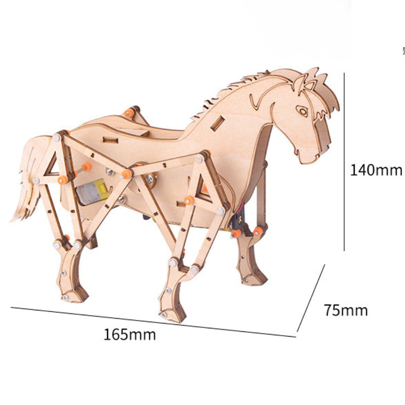 Skorter |  DIY science experiments for kids Creative toys
