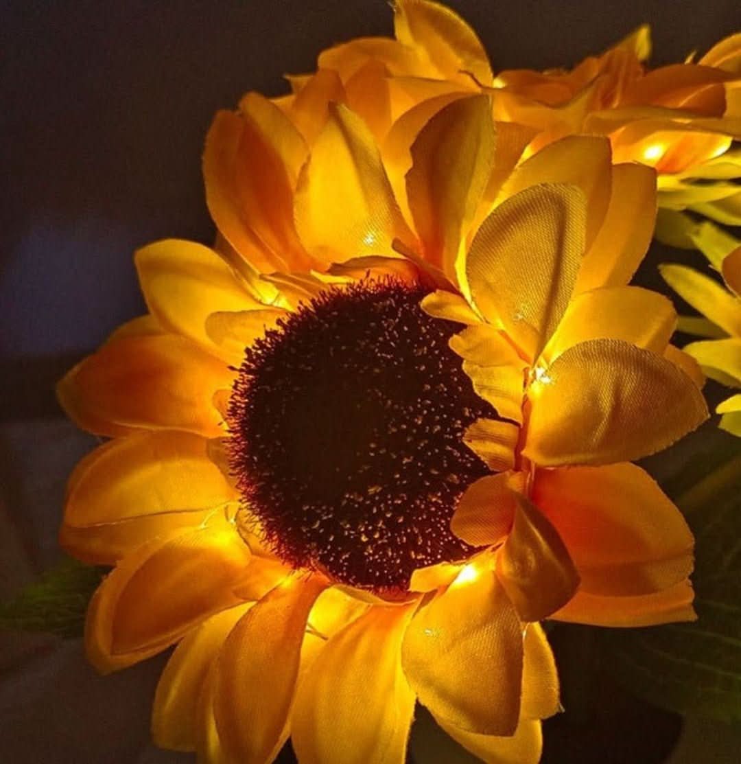 Skorter | Sunflower | Sunflower lamp