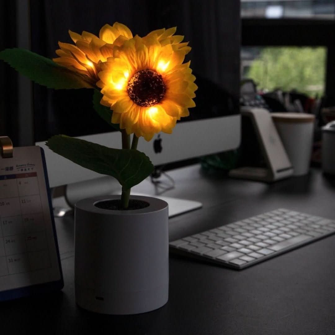 Skorter | Sunflower | Sunflower lamp