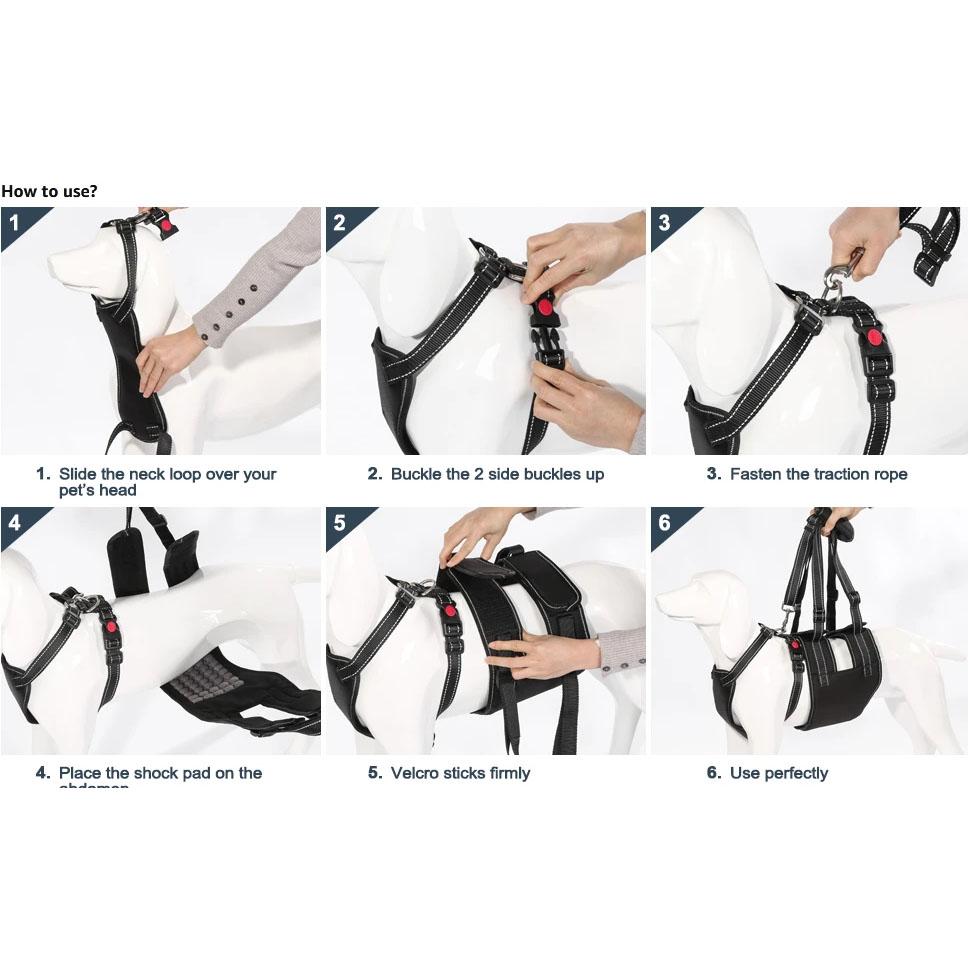 Skorter | Support Belt Set Adjustable Chest Strap for Elderly Disabled Dog