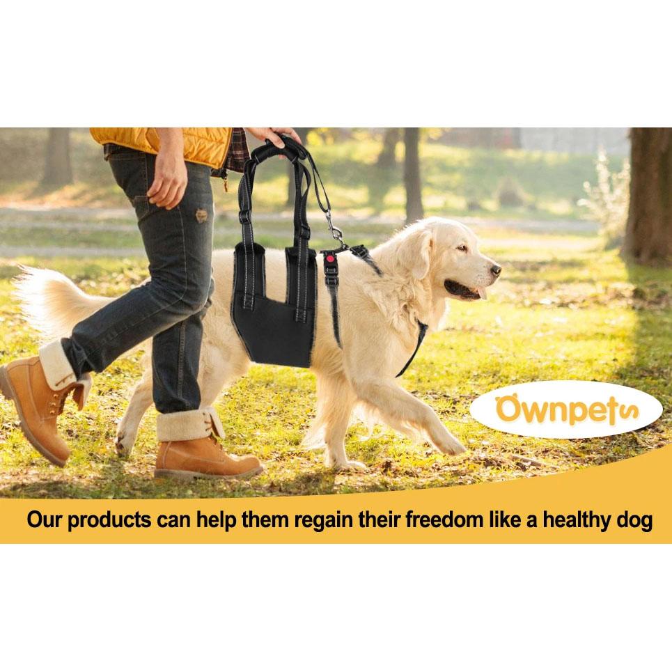 Skorter | Support Belt Set Adjustable Chest Strap for Elderly Disabled Dog