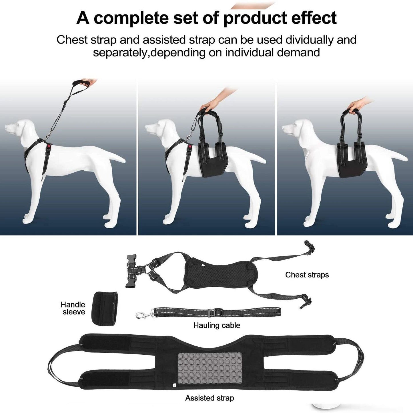 Skorter | Support Belt Set Adjustable Chest Strap for Elderly Disabled Dog