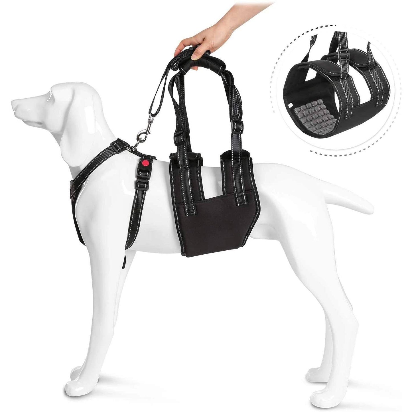 Skorter | Support Belt Set Adjustable Chest Strap for Elderly Disabled Dog
