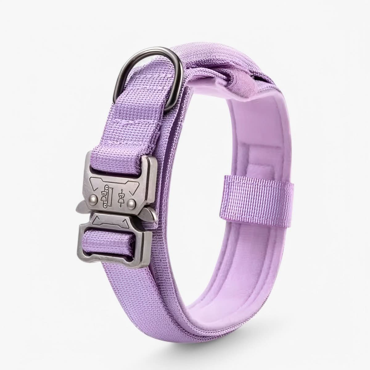 Skorter | Adjustable Dog Collar Set for Adventures and Daily Training